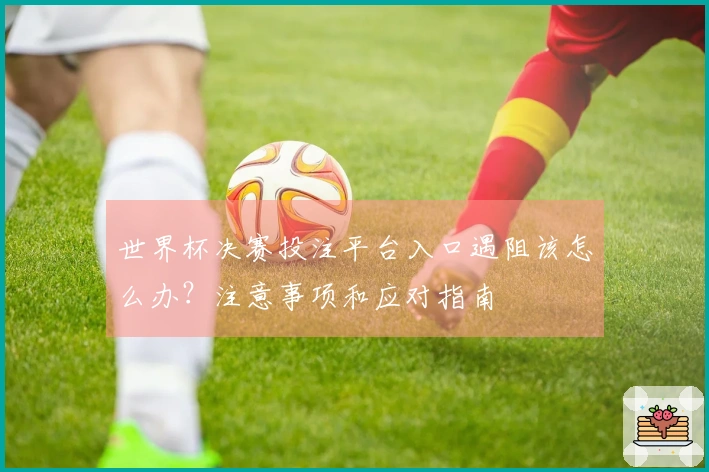 世界杯决赛投注平台入口遇阻该怎么办？注意事项和应对指南