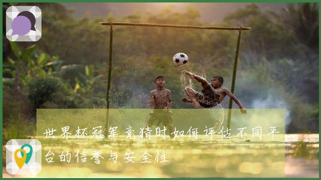 世界杯冠军竞猜时如何评估不同平台的信誉与安全性