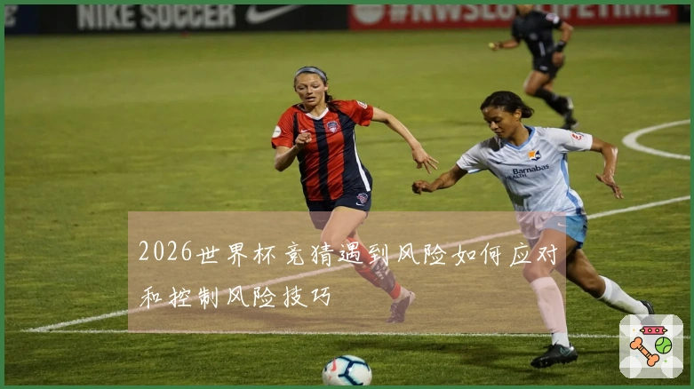 2026世界杯竞猜遇到风险如何应对和控制风险技巧